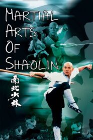 Martial Arts of Shaolin 1986 on netflix