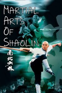 Martial Arts of Shaolin 1986 on netflix