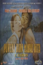 Puwera Biro Mahal Kita: D’ Beachboys 1995 on netflix