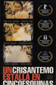 A Crysanthemum Bursts in Cincoesquinas 1998 on netflix