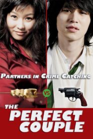 The Perfect Couple 2007 on netflix