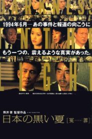 Darkness in the Light 2001 on netflix