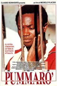 Tomato 1990 on netflix