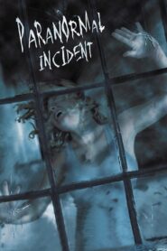 Paranormal Incident 2011 on netflix