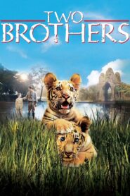 Two Brothers 2004 on netflix
