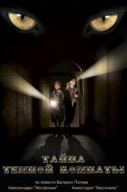 A Dark Room Mystery 2014 on netflix