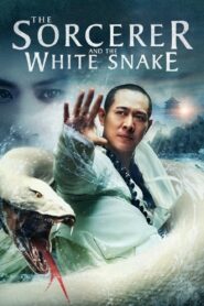 The Sorcerer and the White Snake 2011 on netflix