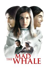 The Mad Whale 2017 on netflix