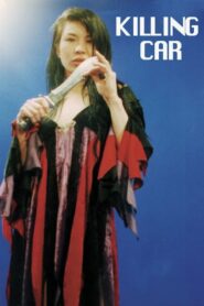 Killing Car 1993 on netflix