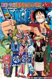 One Piece Special: The Detective Memoirs of Chief Straw Hat Luffy 2005 on netflix