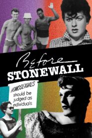 Before Stonewall 1984 on netflix