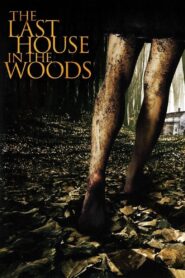 The Last House in the Woods 2006 on netflix