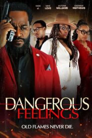 Dangerous Feelings 2024 on netflix