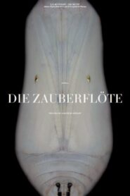 Mozart: Die Zauberflöte 2018 on netflix