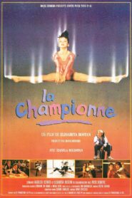 Reach for the Sky 1990 on netflix