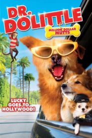 Dr. Dolittle: Million Dollar Mutts 2009 on netflix