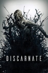Discarnate 2019 on netflix