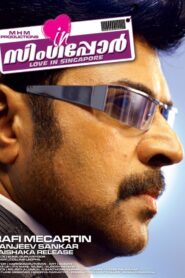 Love in Singapore 2009 on netflix