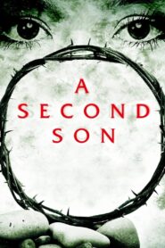 A Second Son 2012 on netflix