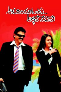 Aadavari Matalaku Ardhalu Verule 2007 on netflix