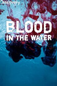 Blood in the Water 2009 on netflix