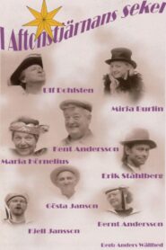 I Aftonstjärnans sekel 2004 on netflix