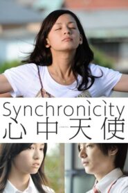 Synchronicity 2011 on netflix