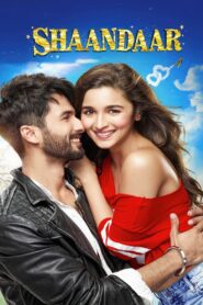 Shaandaar 2015 on netflix