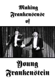 Making Frankensense of Young Frankenstein 1996 on netflix