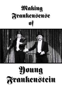 Making Frankensense of Young Frankenstein 1996 on netflix