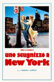 Neapolitan Boy in New York 1984 on netflix
