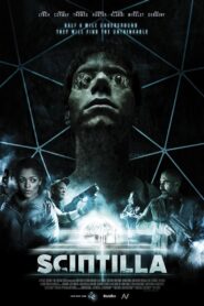 Scintilla 2014 on netflix