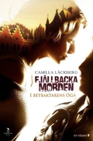 The Fjällbacka Murders: In the Eye of the Beholder 2012 on netflix