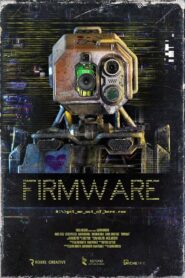 Firmware 2024 on netflix