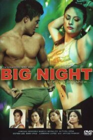 Big Night 2009 on netflix