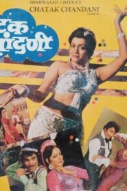 Chatak Chandni 1982 on netflix