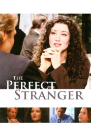 The Perfect Stranger 2005 on netflix