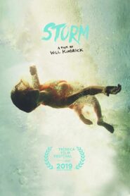 Storm 2019 on netflix