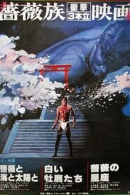 Rose Constellation 1982 on netflix