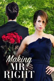 Making Mr. Right 2008 on netflix