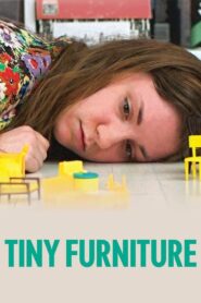 Tiny Furniture 2010 on netflix