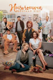 No Such Thing as Housewives 2017 on netflix
