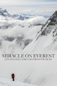 Miracle on Everest 2008 on netflix