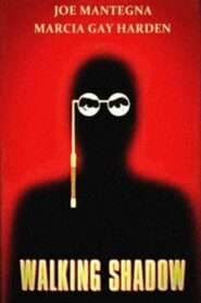 Walking Shadow 2001 on netflix