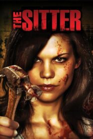 While the Children Sleep 2007 on netflix