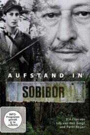 Revolt in Sobibor 1989 on netflix