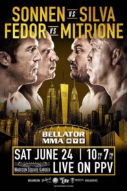 Bellator 180: Sonnen vs. Silva 2017 on netflix
