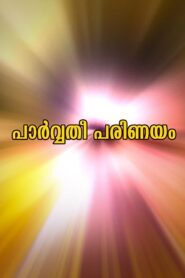 Parvathy Parinayam 1995 on netflix
