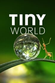 Tiny World 2020 on netflix