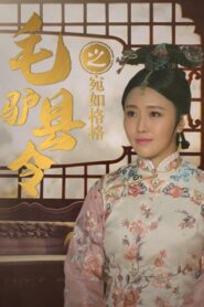 Donkey Magistrate of liking a Princess 2016 on netflix